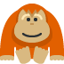 Orangutan ????
