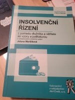 Insolvenční řízení z pohledu dlužníka a věřitele se vzory a judikaturou