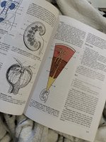 Biologie člověka pro učitele