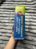 Anglicko-český, česko-anglický praktický slovník